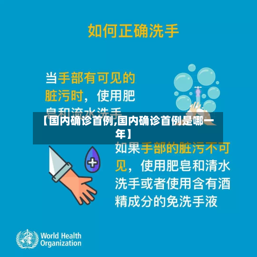 【国内确诊首例,国内确诊首例是哪一年】-第2张图片
