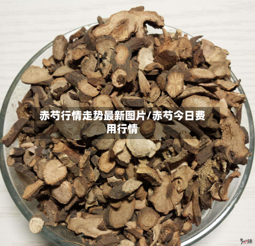 赤芍行情走势最新图片/赤芍今日费用行情
