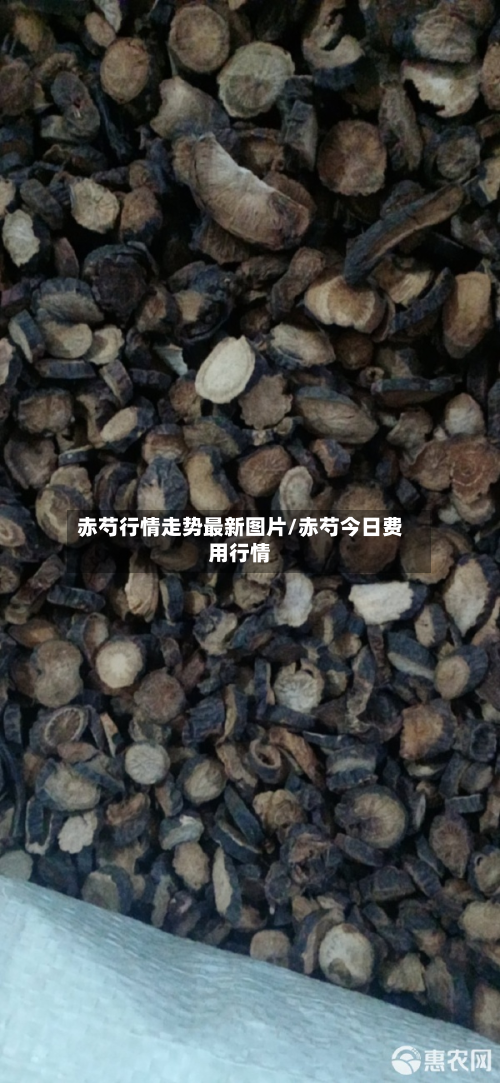 赤芍行情走势最新图片/赤芍今日费用行情-第3张图片