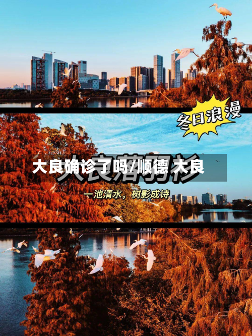 大良确诊了吗/顺德 大良