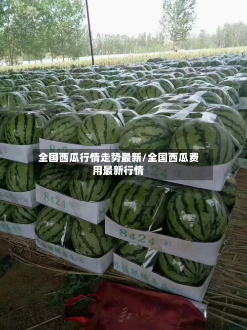 全国西瓜行情走势最新/全国西瓜费用最新行情