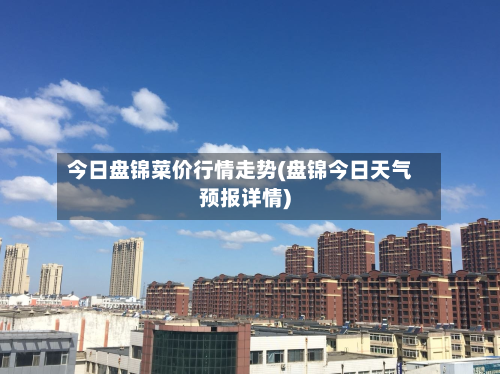 今日盘锦菜价行情走势(盘锦今日天气预报详情)