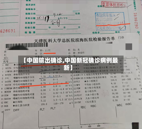 【中国输出确诊,中国新冠确诊病例最新】-第2张图片