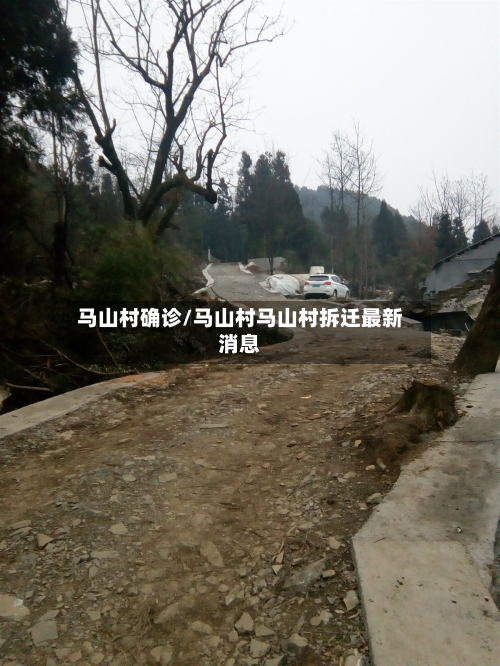 马山村确诊/马山村马山村拆迁最新消息-第3张图片