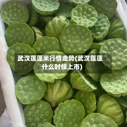 武汉莲蓬米行情走势(武汉莲蓬什么时候上市)