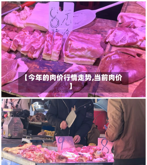 【今年的肉价行情走势,当前肉价】