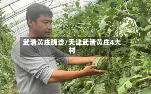 武清黄庄确诊/天津武清黄庄4大村