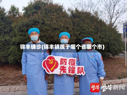 锦丰确诊(锦丰镇属于哪个省哪个市)-第2张图片