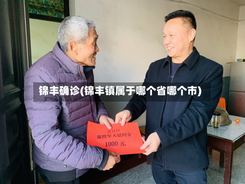 锦丰确诊(锦丰镇属于哪个省哪个市)-第3张图片