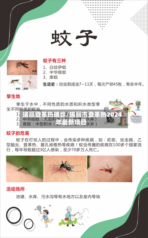 瑞丽登革热确诊/瑞丽市登革热2024年最新项目-第3张图片