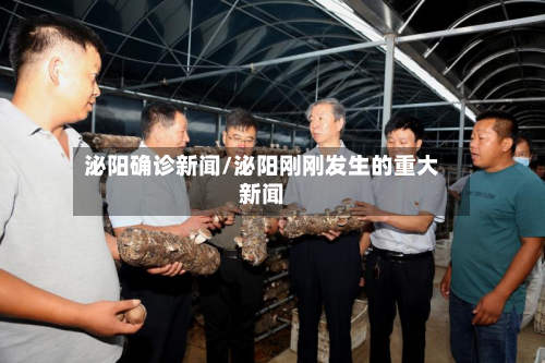 泌阳确诊新闻/泌阳刚刚发生的重大新闻