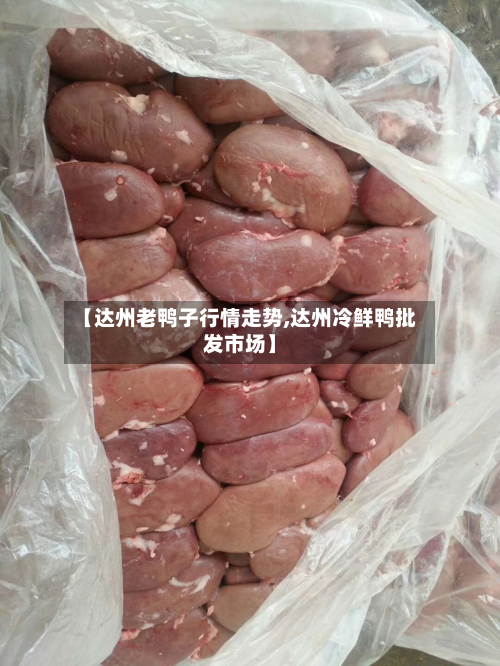 【达州老鸭子行情走势,达州冷鲜鸭批发市场】-第2张图片
