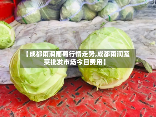 【成都雨润葡萄行情走势,成都雨润蔬菜批发市场今日费用】-第3张图片