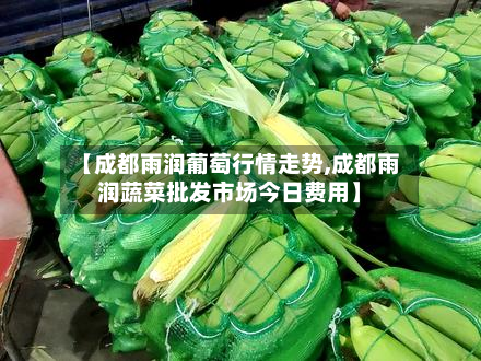 【成都雨润葡萄行情走势,成都雨润蔬菜批发市场今日费用】
