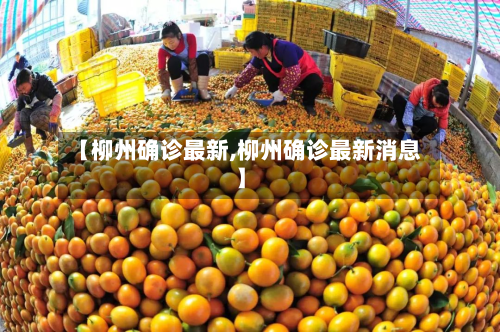 【柳州确诊最新,柳州确诊最新消息】