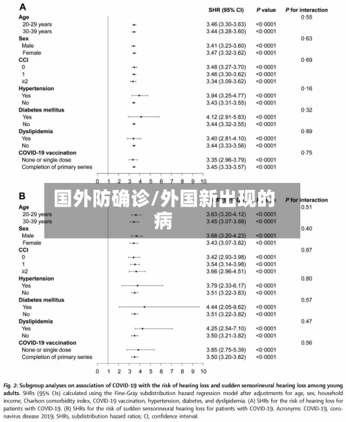 国外防确诊/外国新出现的病