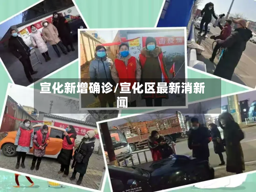 宣化新增确诊/宣化区最新消新闻
