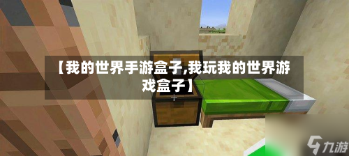 【我的世界手游盒子,我玩我的世界游戏盒子】-第3张图片