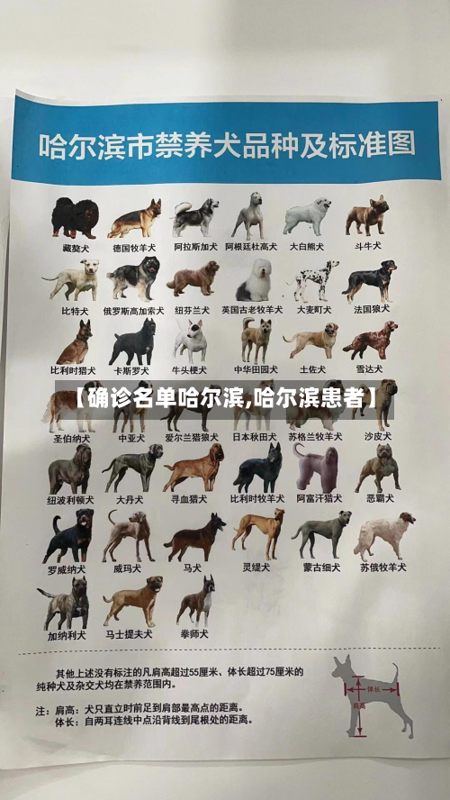 【确诊名单哈尔滨,哈尔滨患者】-第3张图片