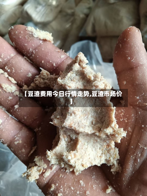 【豆渣费用今日行情走势,豆渣市场价】