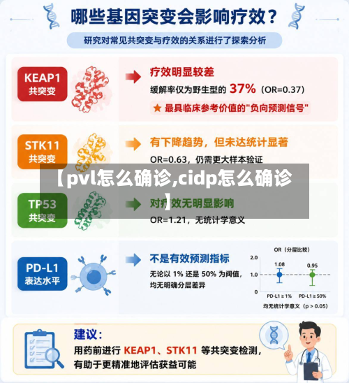 【pvl怎么确诊,cidp怎么确诊】