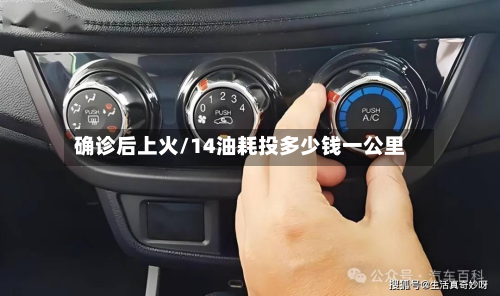 确诊后上火/14油耗投多少钱一公里-第3张图片