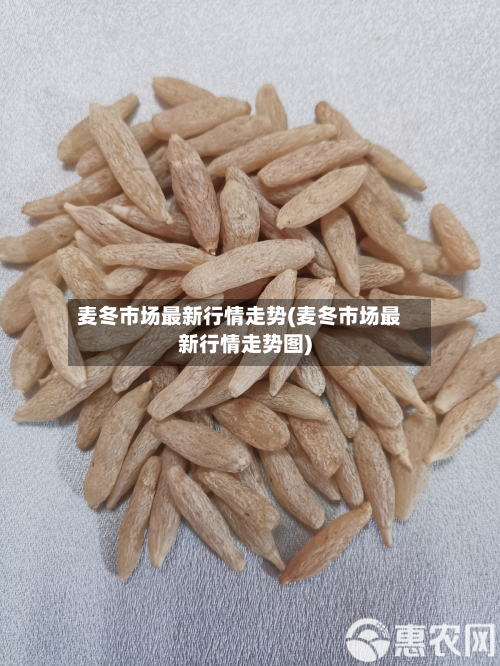 麦冬市场最新行情走势(麦冬市场最新行情走势图)-第3张图片