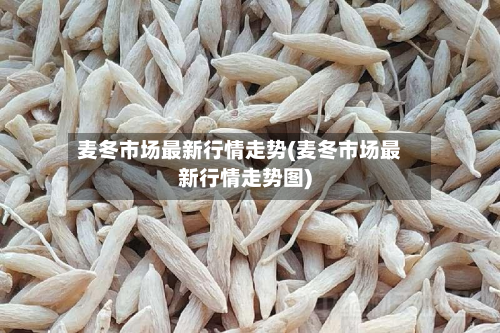 麦冬市场最新行情走势(麦冬市场最新行情走势图)