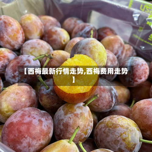 【西梅最新行情走势,西梅费用走势】-第2张图片