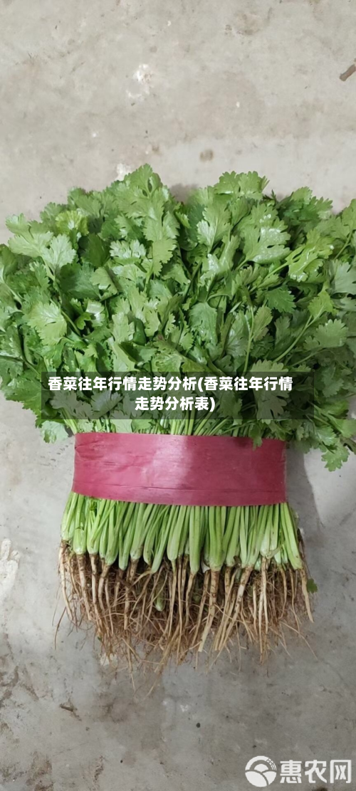 香菜往年行情走势分析(香菜往年行情走势分析表)
