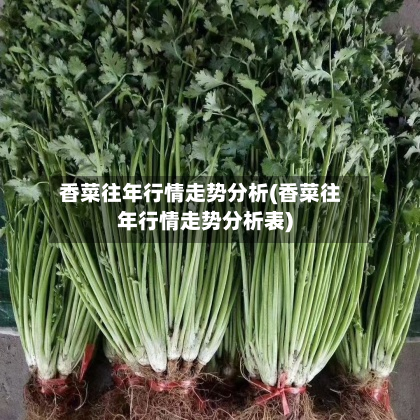 香菜往年行情走势分析(香菜往年行情走势分析表)-第2张图片