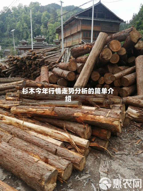 杉木今年行情走势分析的简单介绍-第2张图片