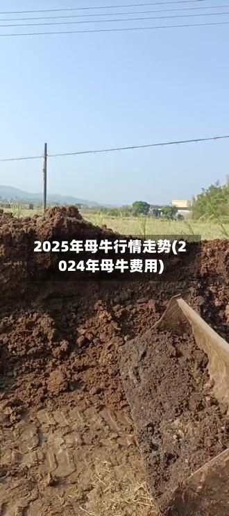 2025年母牛行情走势(2024年母牛费用)