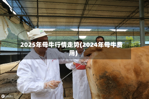 2025年母牛行情走势(2024年母牛费用)-第3张图片