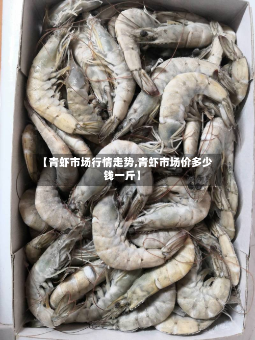 【青虾市场行情走势,青虾市场价多少钱一斤】