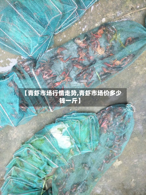 【青虾市场行情走势,青虾市场价多少钱一斤】-第3张图片