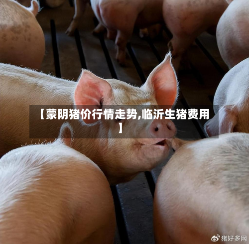 【蒙阴猪价行情走势,临沂生猪费用】-第3张图片