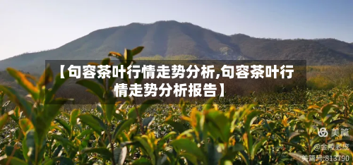 【句容茶叶行情走势分析,句容茶叶行情走势分析报告】-第2张图片