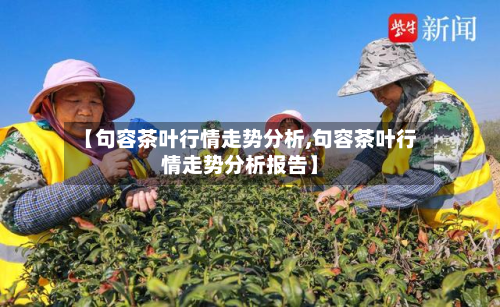 【句容茶叶行情走势分析,句容茶叶行情走势分析报告】-第3张图片
