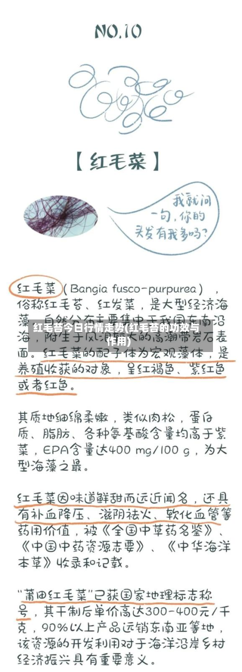 红毛苔今日行情走势(红毛苔的功效与作用)