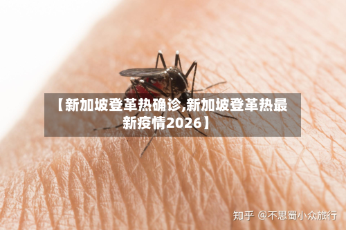 【新加坡登革热确诊,新加坡登革热最新疫情2026】-第2张图片