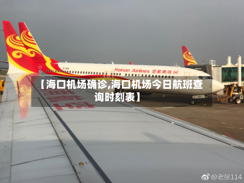 【海口机场确诊,海口机场今日航班查询时刻表】-第2张图片