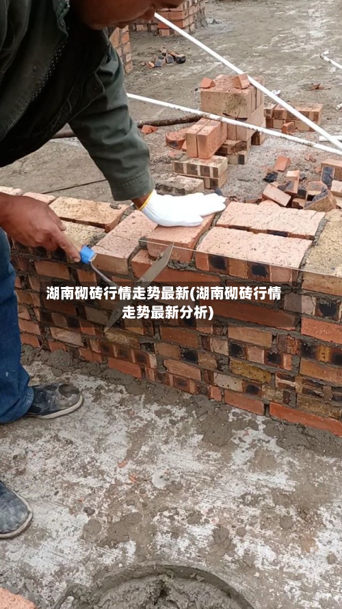 湖南砌砖行情走势最新(湖南砌砖行情走势最新分析)-第2张图片