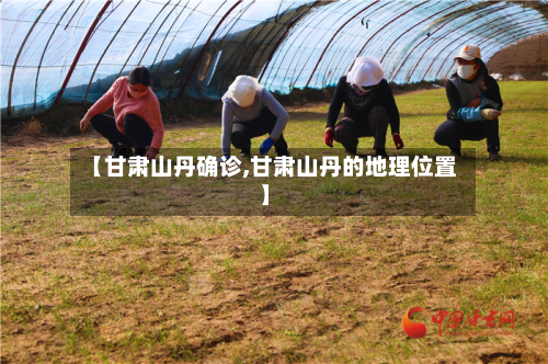 【甘肃山丹确诊,甘肃山丹的地理位置】-第2张图片