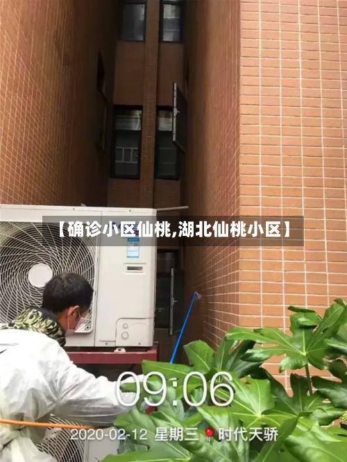 【确诊小区仙桃,湖北仙桃小区】