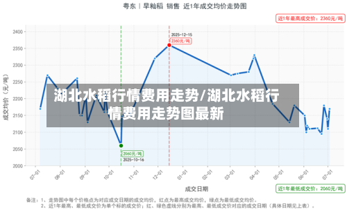 湖北水稻行情费用走势/湖北水稻行情费用走势图最新-第2张图片