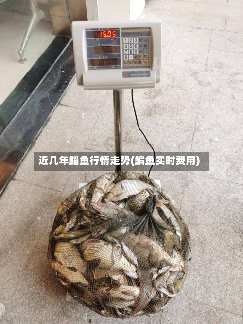 近几年鲻鱼行情走势(鳊鱼实时费用)