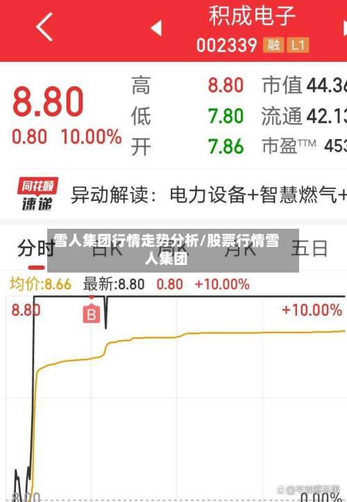 雪人集团行情走势分析/股票行情雪人集团-第3张图片