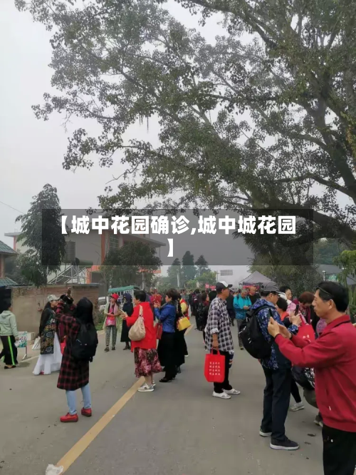 【城中花园确诊,城中城花园】-第2张图片
