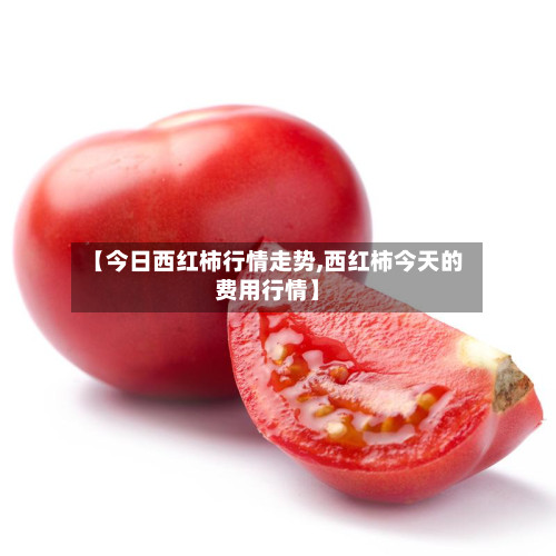 【今日西红柿行情走势,西红柿今天的费用行情】